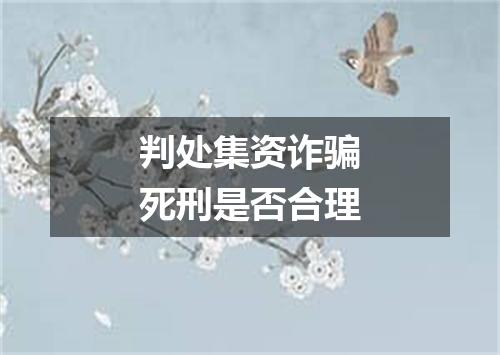 判处集资诈骗死刑是否合理
