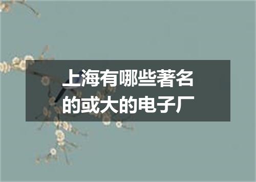 上海有哪些著名的或大的电子厂