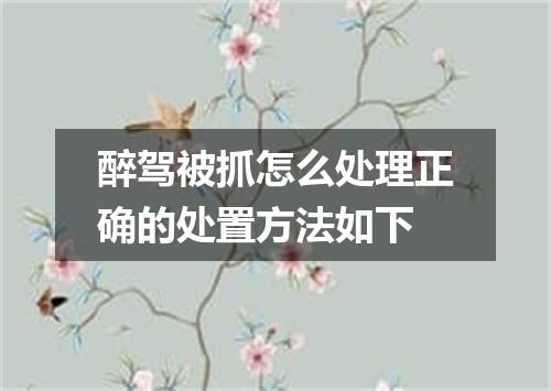 醉驾被抓怎么处理正确的处置方法如下
