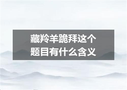 藏羚羊跪拜这个题目有什么含义