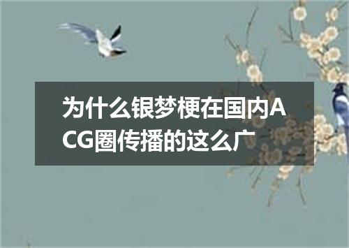 为什么银梦梗在国内ACG圈传播的这么广