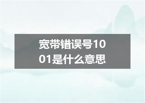 宽带错误号1001是什么意思