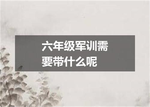 六年级军训需要带什么呢