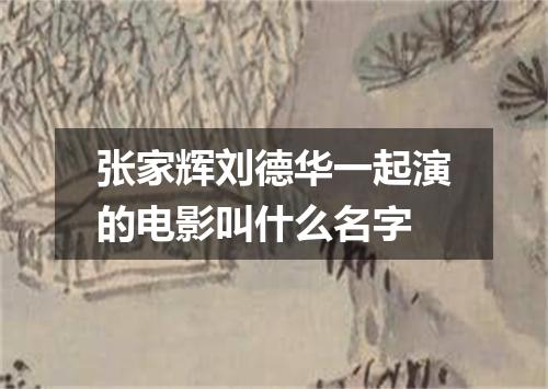 张家辉刘德华一起演的电影叫什么名字