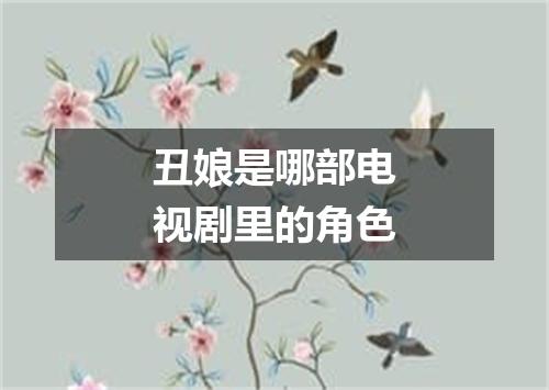 丑娘是哪部电视剧里的角色