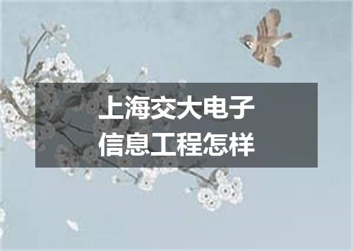 上海交大电子信息工程怎样