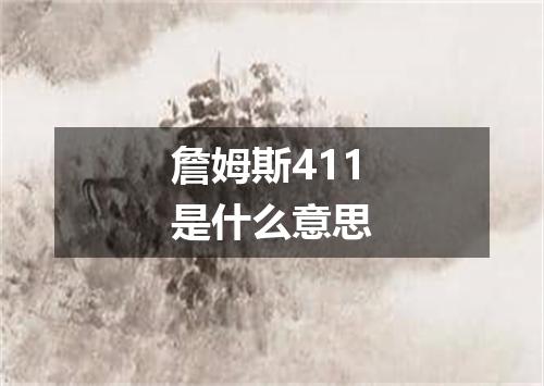 詹姆斯411是什么意思
