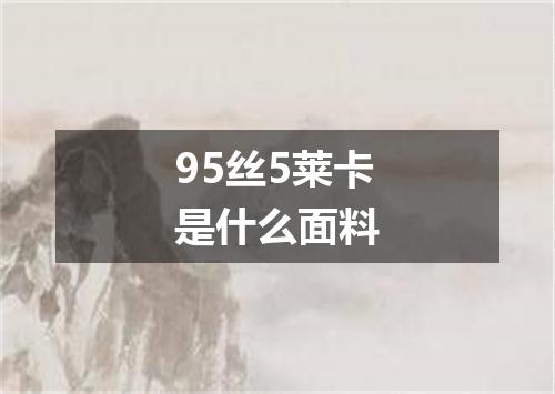 95丝5莱卡是什么面料