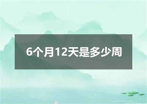 6个月12天是多少周