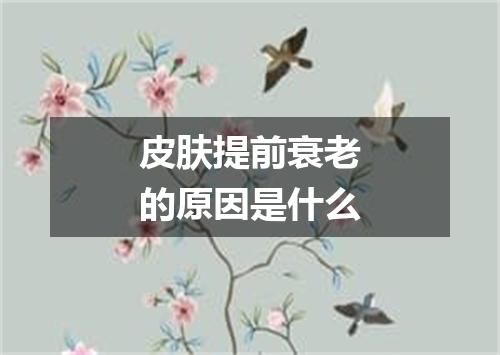 皮肤提前衰老的原因是什么