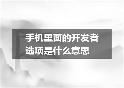 手机里面的开发者选项是什么意思
