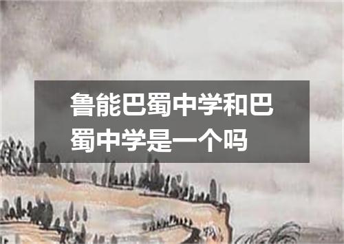 鲁能巴蜀中学和巴蜀中学是一个吗
