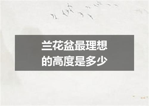 兰花盆最理想的高度是多少