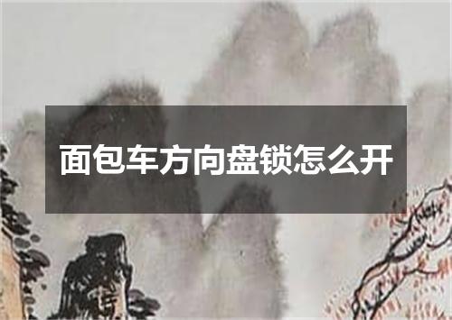 面包车方向盘锁怎么开
