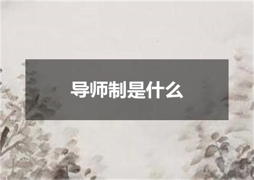 导师制是什么