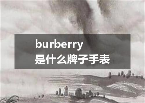 burberry是什么牌子手表