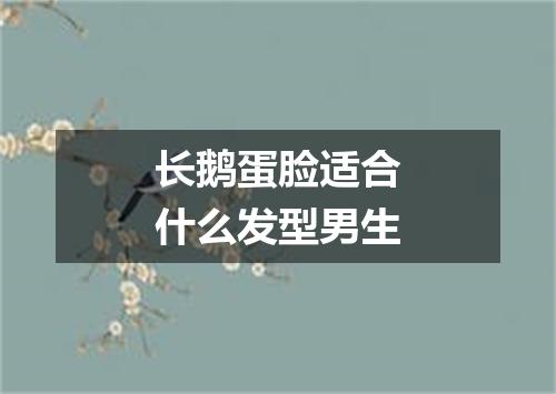 长鹅蛋脸适合什么发型男生