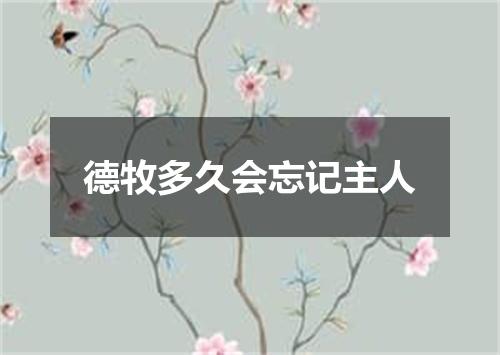 德牧多久会忘记主人