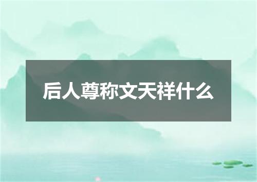 后人尊称文天祥什么