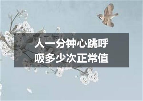 人一分钟心跳呼吸多少次正常值