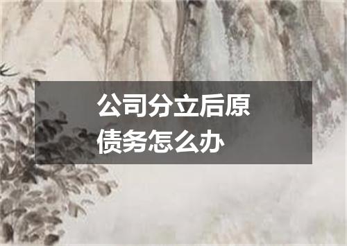 公司分立后原债务怎么办