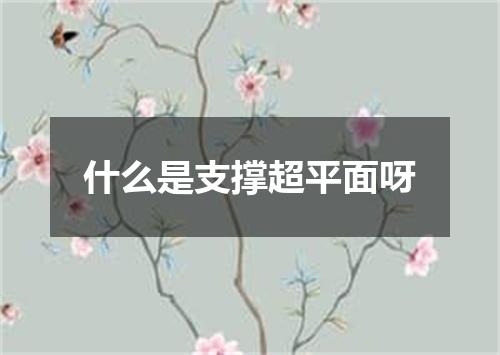 什么是支撑超平面呀