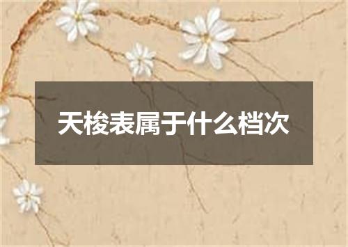 天梭表属于什么档次