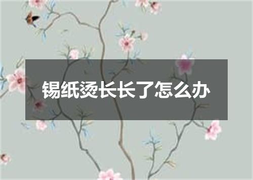 锡纸烫长长了怎么办