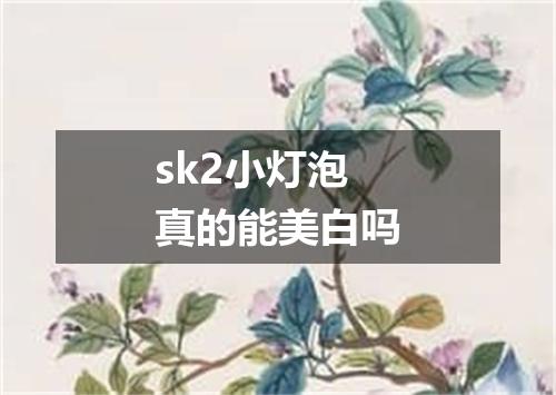 sk2小灯泡真的能美白吗