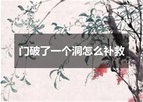 门破了一个洞怎么补救