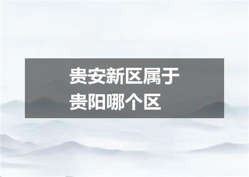 贵安新区属于贵阳哪个区