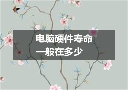 电脑硬件寿命一般在多少