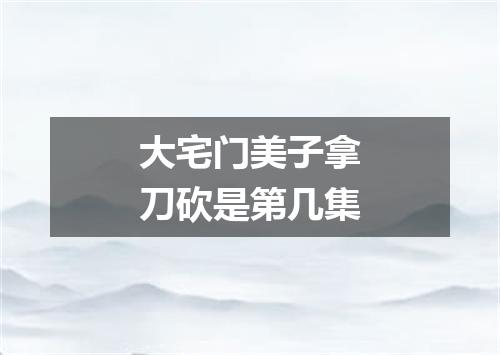 大宅门美子拿刀砍是第几集