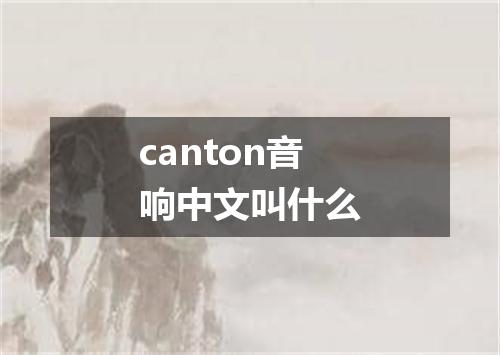 canton音响中文叫什么