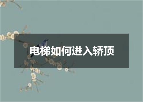 电梯如何进入轿顶