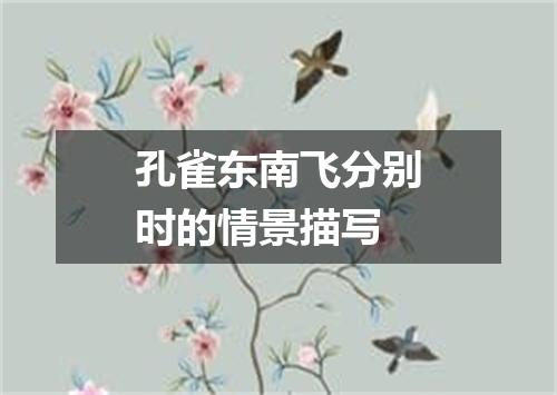 孔雀东南飞分别时的情景描写