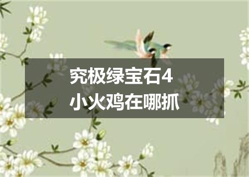 究极绿宝石4小火鸡在哪抓