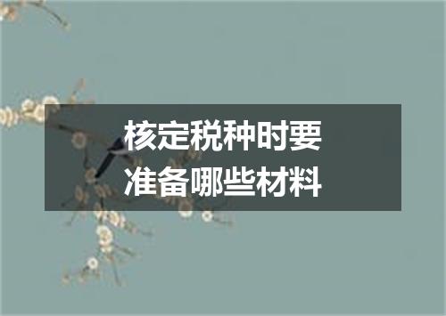 核定税种时要准备哪些材料