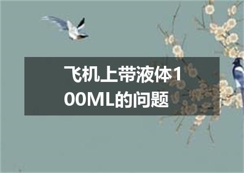 飞机上带液体100ML的问题