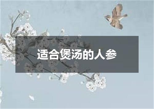 适合煲汤的人参