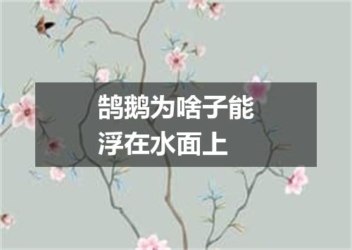 鹄鹅为啥子能浮在水面上