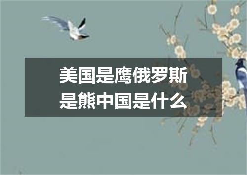 美国是鹰俄罗斯是熊中国是什么