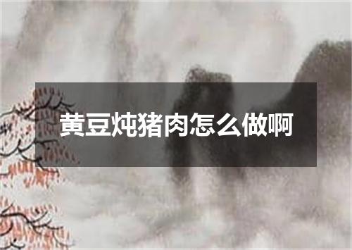 黄豆炖猪肉怎么做啊