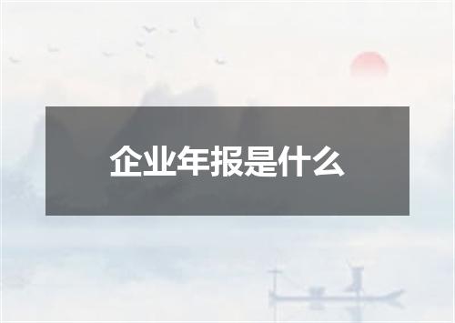 企业年报是什么