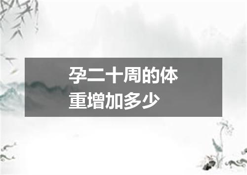 孕二十周的体重增加多少