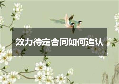 效力待定合同如何追认