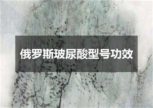 俄罗斯玻尿酸型号功效