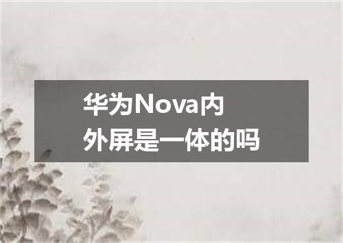 华为Nova内外屏是一体的吗