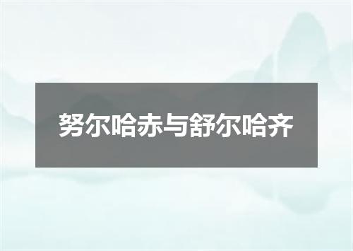 努尔哈赤与舒尔哈齐