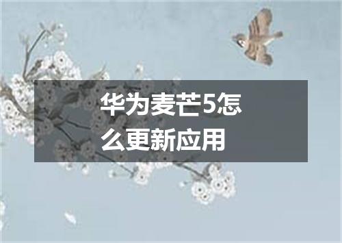 华为麦芒5怎么更新应用